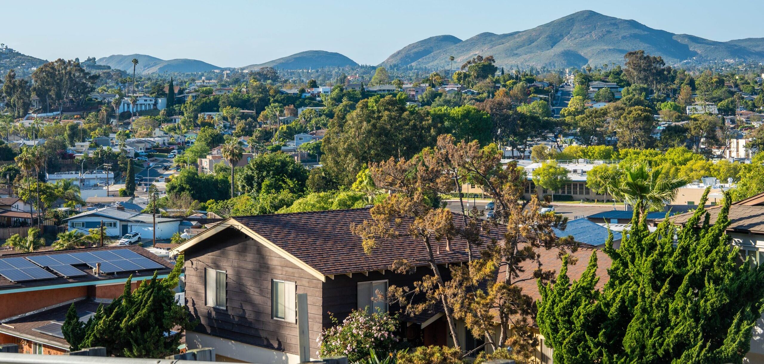Guacamole with Chips and Rice Topped with Salsa and Tortilla Strips